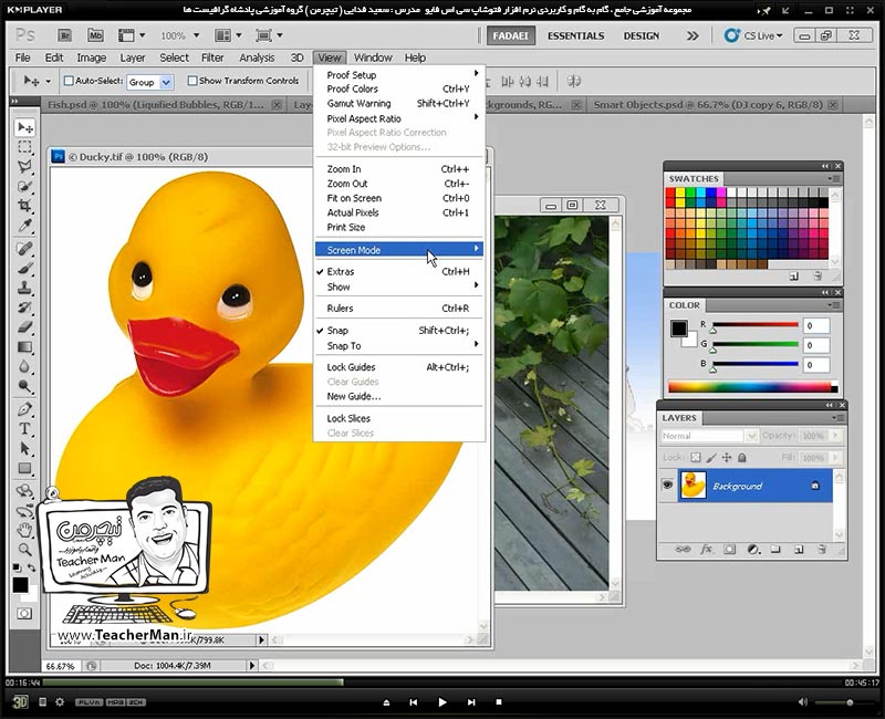 آموزش فتوشاپ سی اس 5  ( Photoshop CS5 ) ویژه طراحی گرافیک و گرافیست ها ( درس اول ) &ndash; آشنایی با محیط برنامه فتوشاپ ، سفارشی سازی محیط نرم افزار فتوشاپ و آشنایی با ابزار های بزرگ نمایی ، کوچک نمایی و انواع حالت های نمایشی در فتوشاپ سی اس 5 - مدرس : استاد سعید فدایی ( تیچرمن ) گروه آموزشی پادشاه گرافیست ها-4