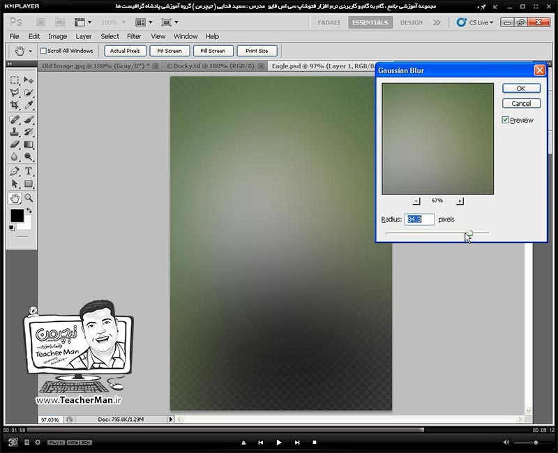 آموزش فتوشاپ سی اس 5  ( Photoshop CS5 ) ویژه طراحی گرافیک و گرافیست ها ( درس شانزدهم ) ( بخش اول ) &ndash; آشنایی با فیلتر ها و دسته بندی های مختلف آنها ، نحوه عملکرد و چگونگی استفاده از آنها در فتوشاپ و طرح های گرافیکی - مدرس : استاد سعید فدایی ( تیچرمن ) گروه آموزشی پادشاه گرافیست ها-8