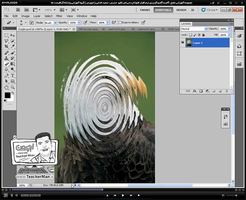 آموزش فتوشاپ سی اس 5  ( Photoshop CS5 ) ویژه طراحی گرافیک و گرافیست ها ( درس هفدهم ) ( بخش دوم ) - آشنایی با فیلتر ها و دسته بندی های مختلف آنها ، نحوه عملکرد و چگونگی استفاده از آنها در فتوشاپ و طرح های گرافیکی - مدرس : استاد سعید فدایی ( تیچرمن ) گروه آموزشی پادشاه گرافیست ها-4