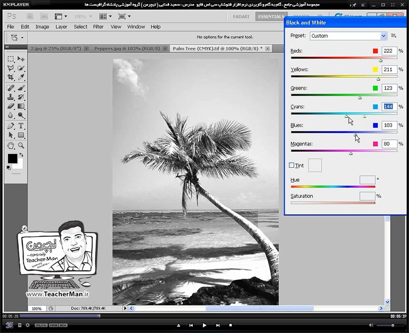 آموزش فتوشاپ سی اس 5  ( Photoshop CS5 ) ویژه طراحی گرافیک و گرافیست ها ( درس بیست و دوم ) ( بخش دوم ) &ndash; آشنایی با مجموعه فرمان های تنظیم کننده رنگ ، روشنایی و تیرگی تصاویر - مدرس : استاد سعید فدایی ( تیچرمن ) گروه آموزشی پادشاه گرافیست ها-4