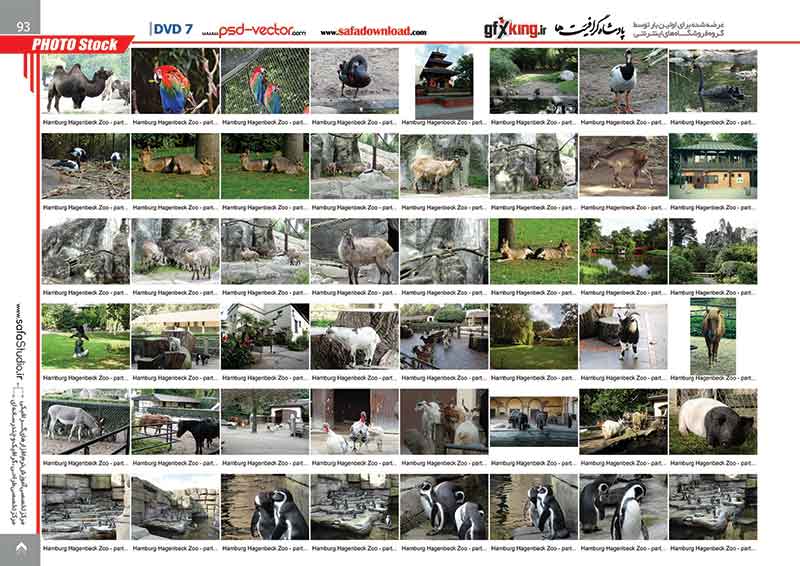 بیش از 20900 تصویر و عکس با کیفیت و لارج فرمت وب سایت شاتر استاک -13