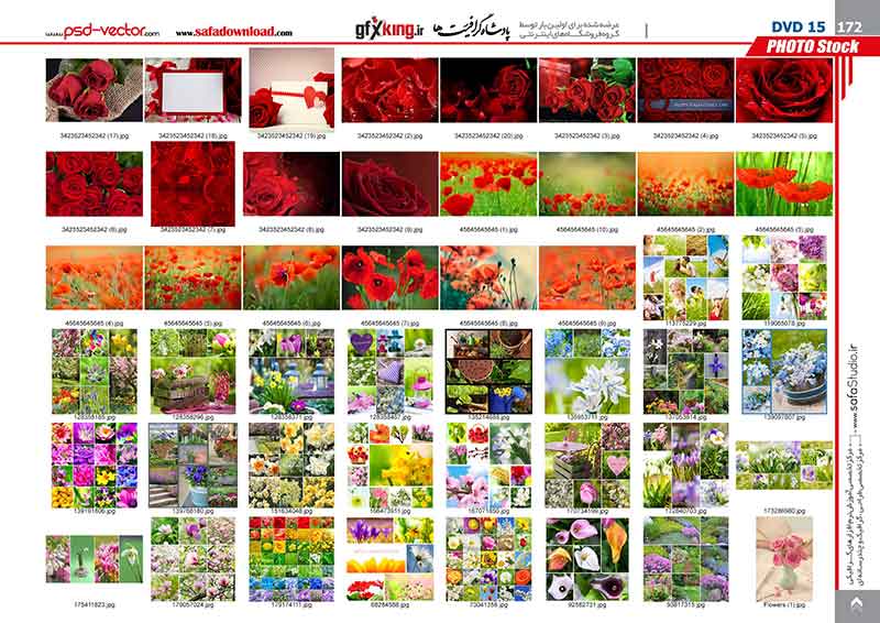 بیش از 20900 تصویر و عکس با کیفیت و لارج فرمت وب سایت شاتر استاک -24
