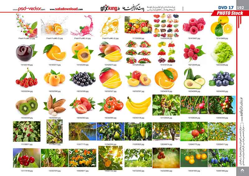 بیش از 20900 تصویر و عکس با کیفیت و لارج فرمت وب سایت شاتر استاک -25