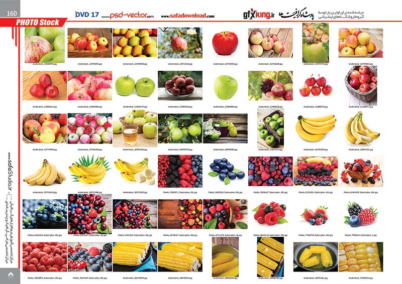 15000 تصویر و عکس با کیفیت و لارج فرمت وب سایت شاتر استاک -26