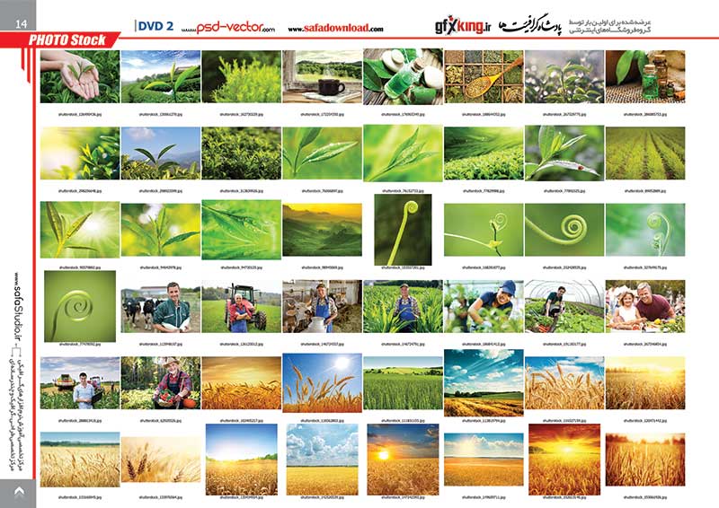 15000 تصویر و عکس با کیفیت و لارج فرمت وب سایت شاتر استاک -3